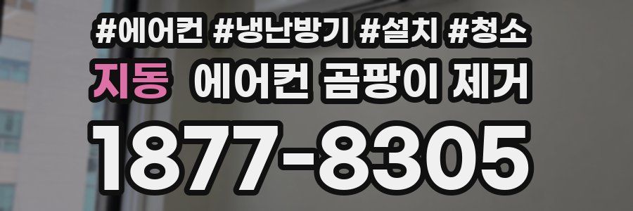 지동 에어컨 곰팡이 제거