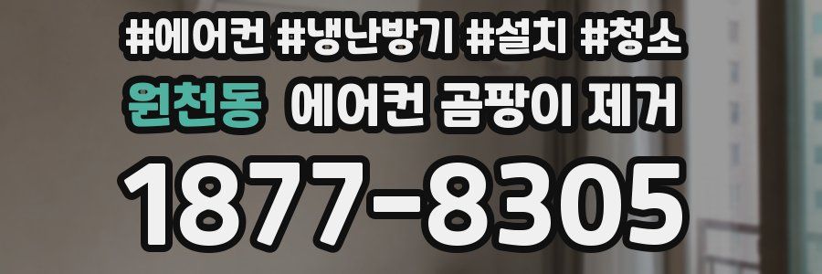 원천동 에어컨 곰팡이 제거