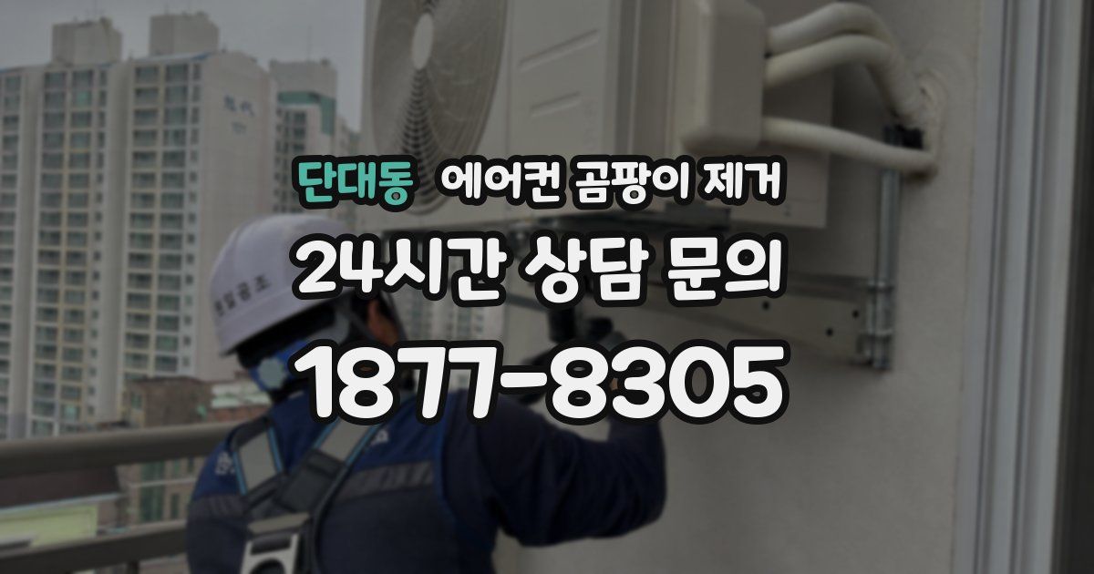단대동 에어컨 곰팡이 제거
