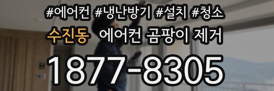 수진동 에어컨 곰팡이 제거