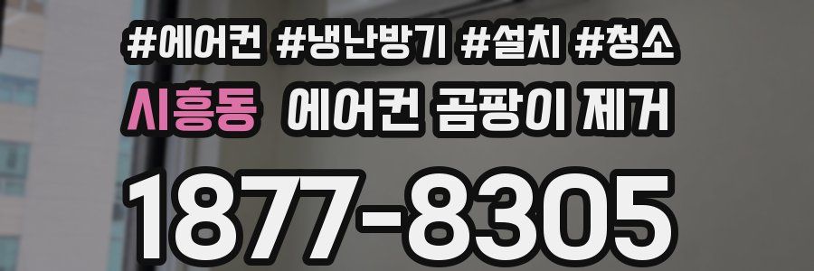 시흥동 에어컨 곰팡이 제거