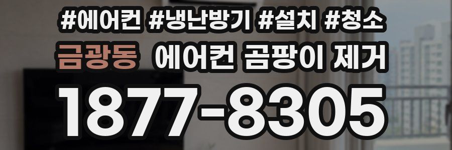 금광동 에어컨 곰팡이 제거