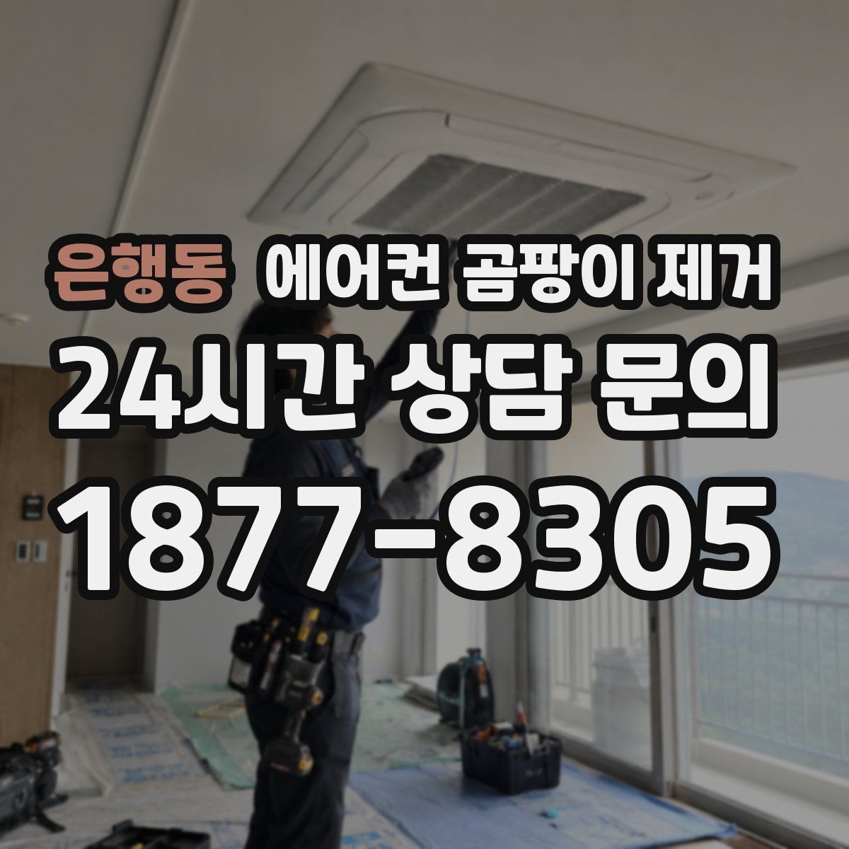 은행동 에어컨 곰팡이 제거