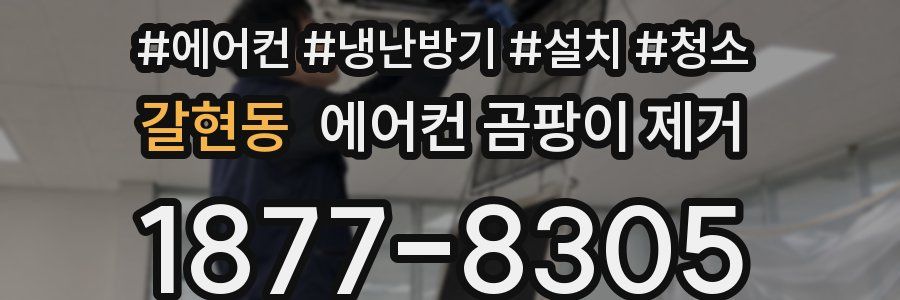 갈현동 에어컨 곰팡이 제거