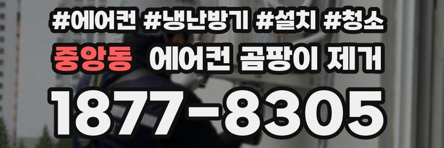 중앙동 에어컨 곰팡이 제거