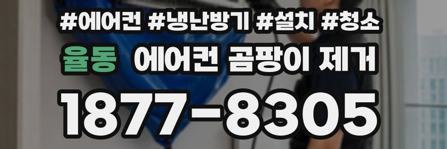 율동 에어컨 곰팡이 제거