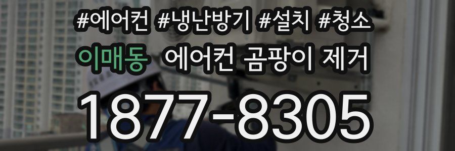 이매동 에어컨 곰팡이 제거