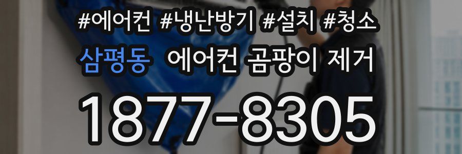 삼평동 에어컨 곰팡이 제거