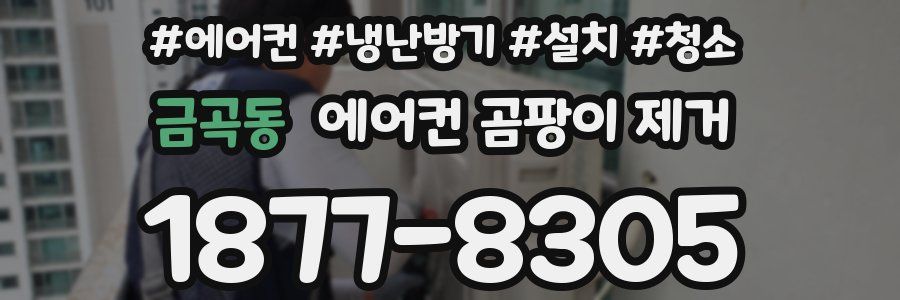 금곡동 에어컨 곰팡이 제거
