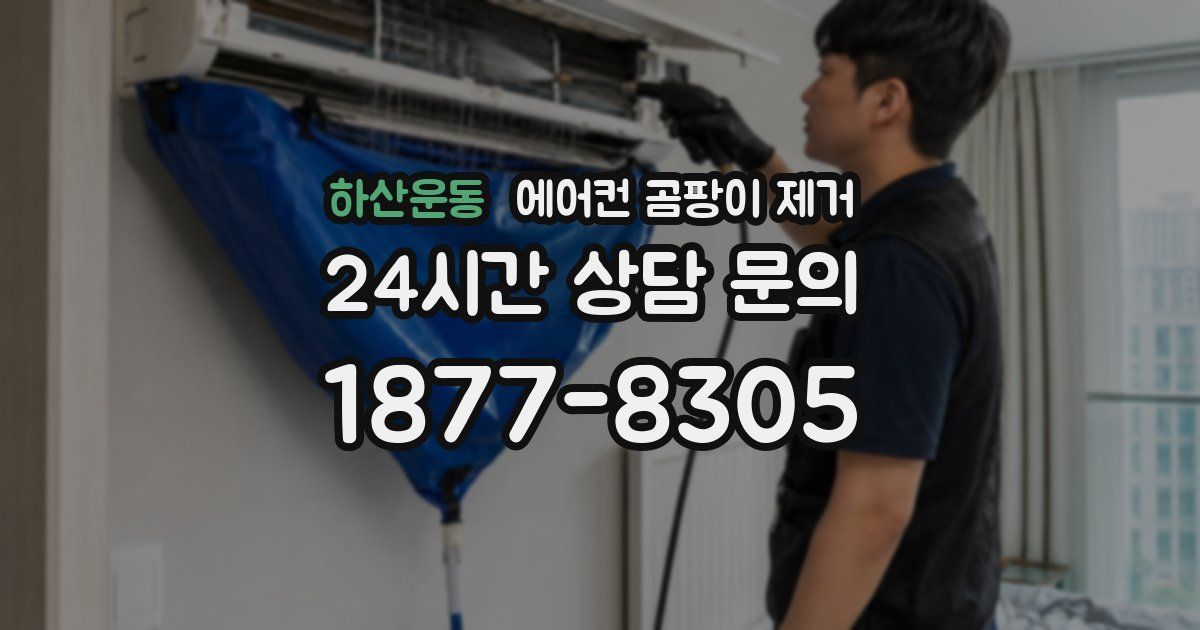 하산운동 에어컨 곰팡이 제거