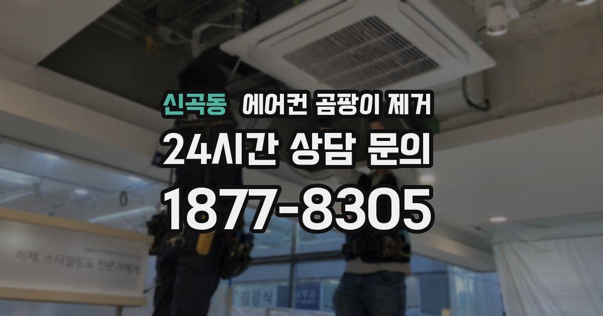 신곡동 에어컨 곰팡이 제거