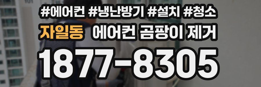 자일동 에어컨 곰팡이 제거