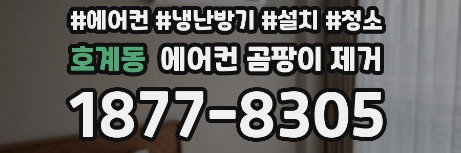 호계동 에어컨 곰팡이 제거