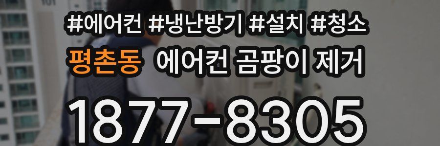 평촌동 에어컨 곰팡이 제거