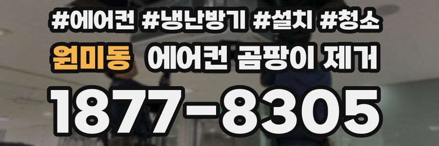원미동 에어컨 곰팡이 제거