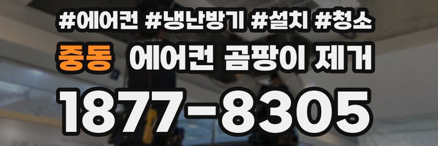 중동 에어컨 곰팡이 제거