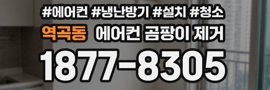 역곡동 에어컨 곰팡이 제거