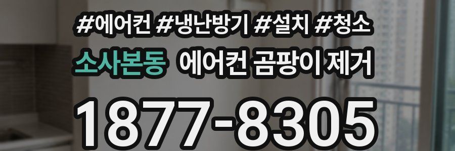 소사본동 에어컨 곰팡이 제거