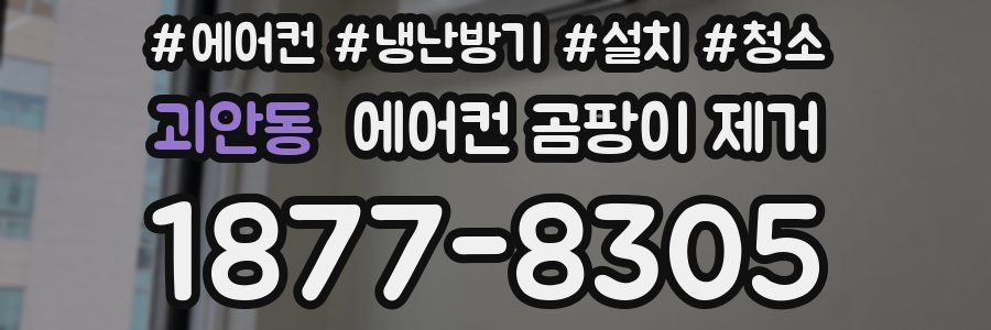 괴안동 에어컨 곰팡이 제거