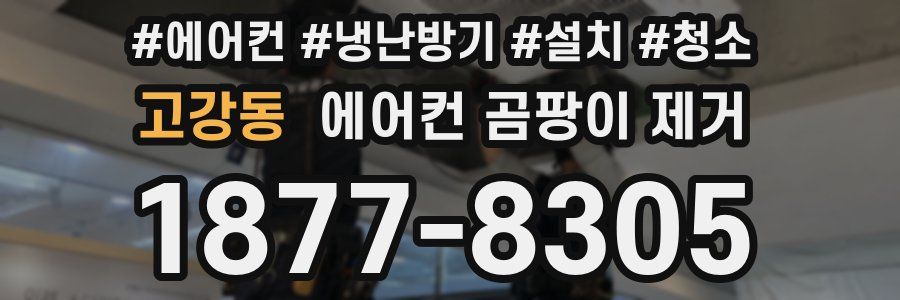 고강동 에어컨 곰팡이 제거