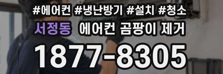 서정동 에어컨 곰팡이 제거