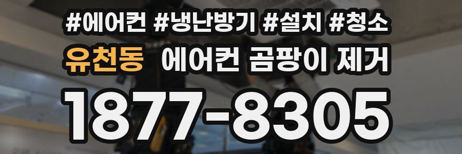 유천동 에어컨 곰팡이 제거