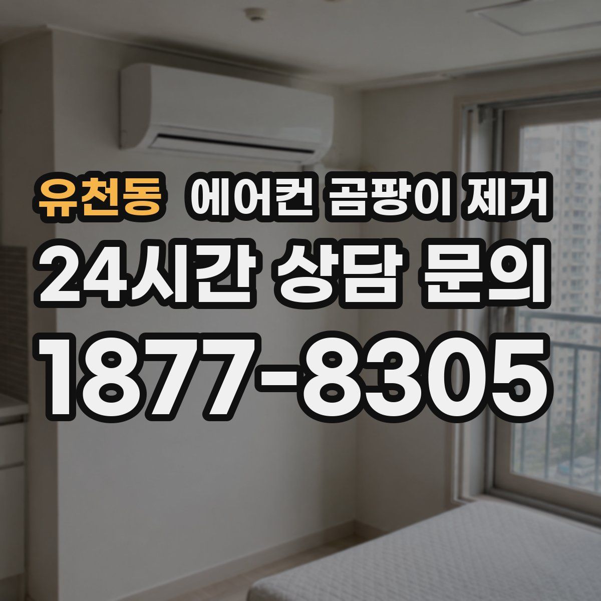 유천동 에어컨 곰팡이 제거