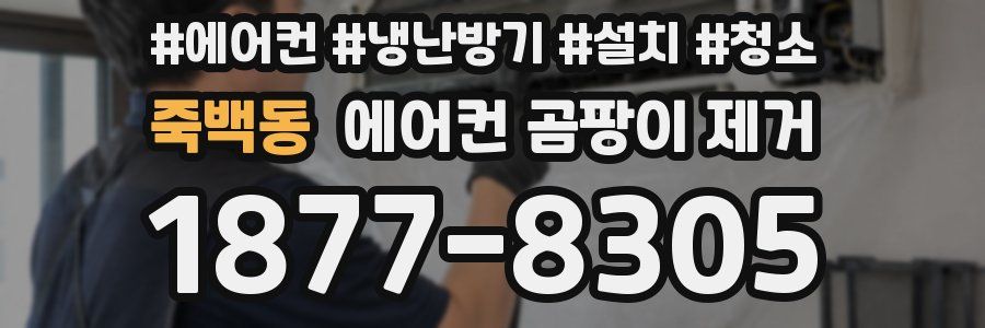 죽백동 에어컨 곰팡이 제거