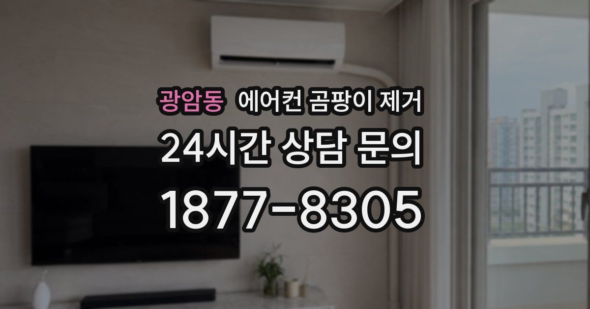 광암동 에어컨 곰팡이 제거