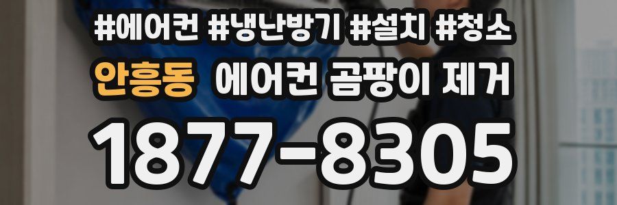 안흥동 에어컨 곰팡이 제거