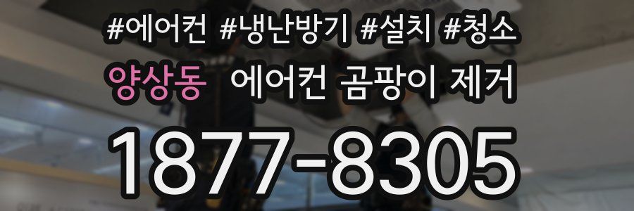 양상동 에어컨 곰팡이 제거