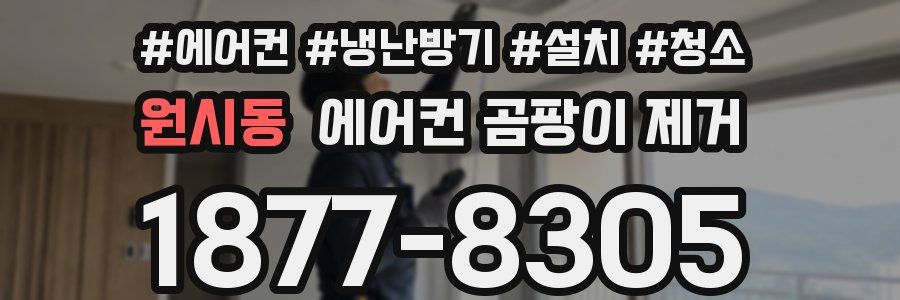 원시동 에어컨 곰팡이 제거