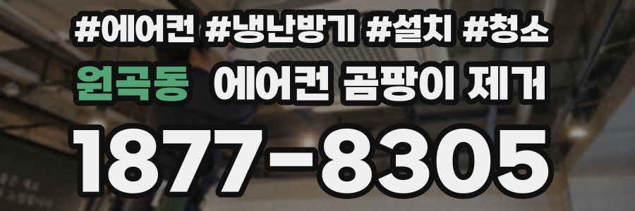 원곡동 에어컨 곰팡이 제거