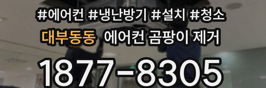 대부동동 에어컨 곰팡이 제거