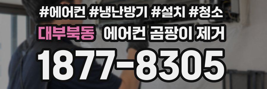 대부북동 에어컨 곰팡이 제거