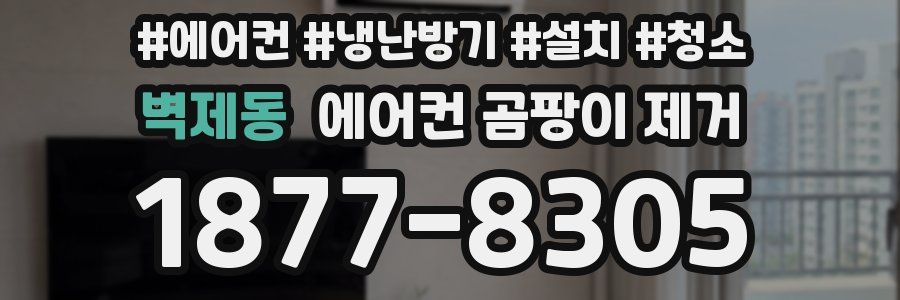 벽제동 에어컨 곰팡이 제거