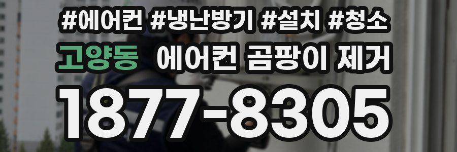 고양동 에어컨 곰팡이 제거