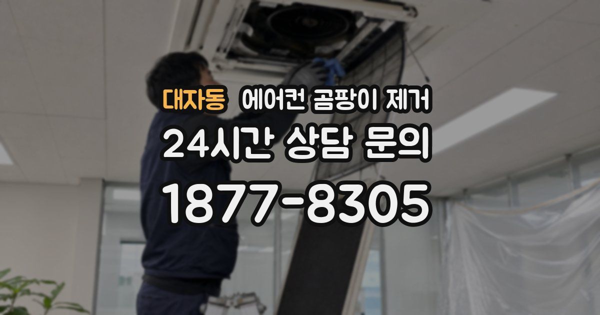 대자동 에어컨 곰팡이 제거