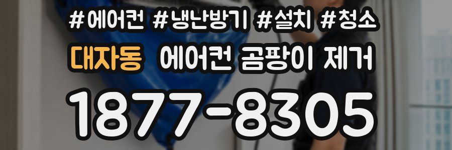 대자동 에어컨 곰팡이 제거