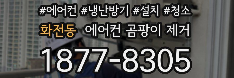 화전동 에어컨 곰팡이 제거