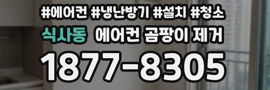 식사동 에어컨 곰팡이 제거