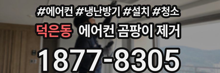 덕은동 에어컨 곰팡이 제거