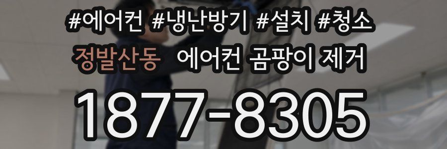 정발산동 에어컨 곰팡이 제거