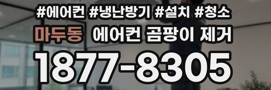 마두동 에어컨 곰팡이 제거