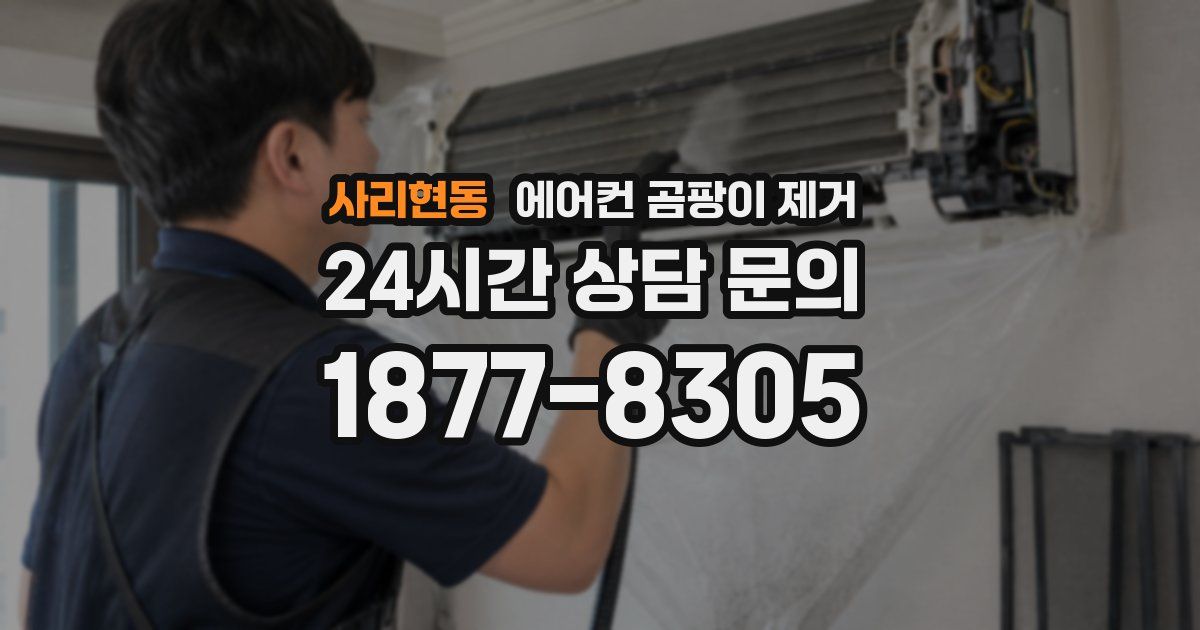 사리현동 에어컨 곰팡이 제거
