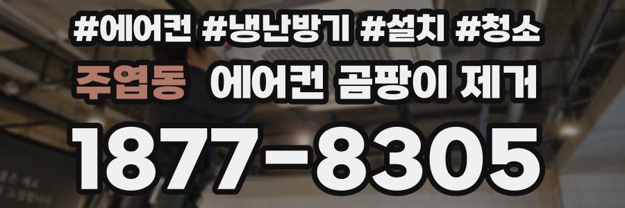 주엽동 에어컨 곰팡이 제거
