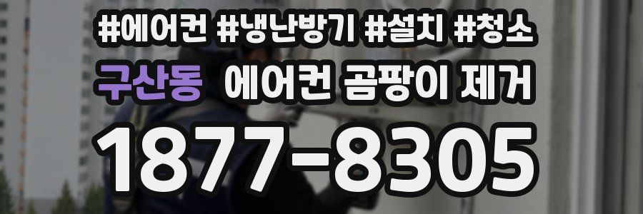 구산동 에어컨 곰팡이 제거