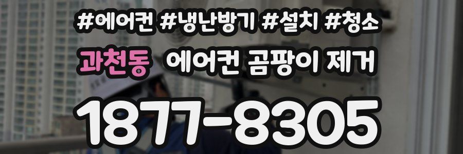 과천동 에어컨 곰팡이 제거