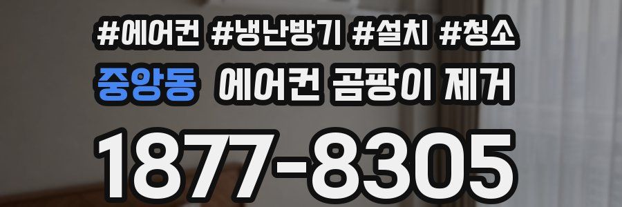 중앙동 에어컨 곰팡이 제거