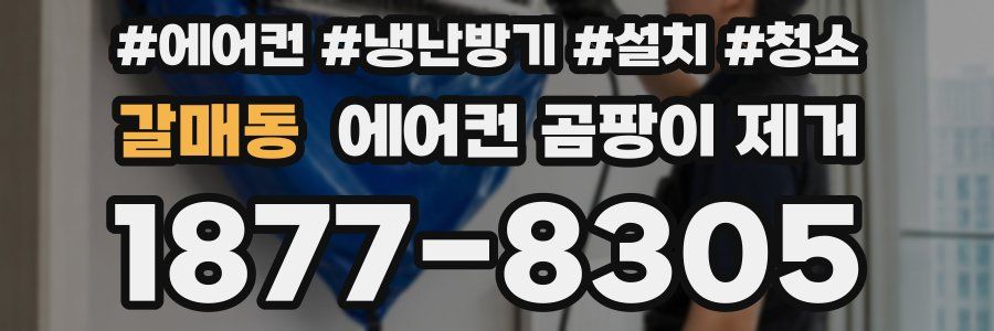갈매동 에어컨 곰팡이 제거